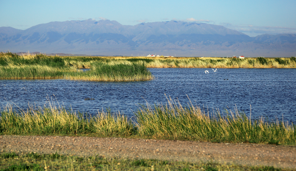 Uvs Lake Basin, Uvs Province (Northwest), Mongolia